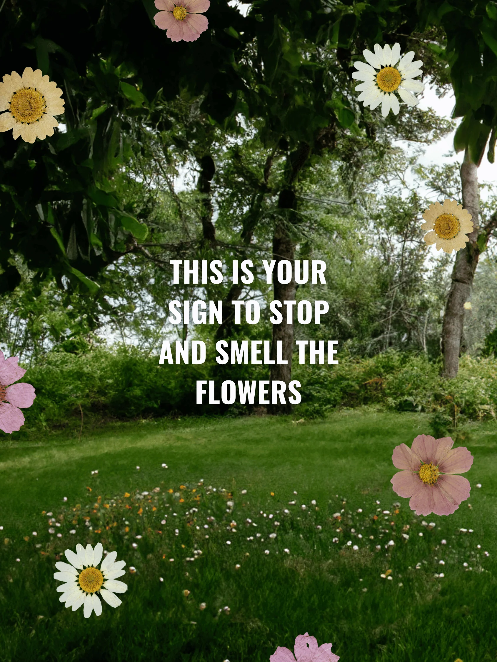 Daisy Dreams Platform Low Top - Image 13