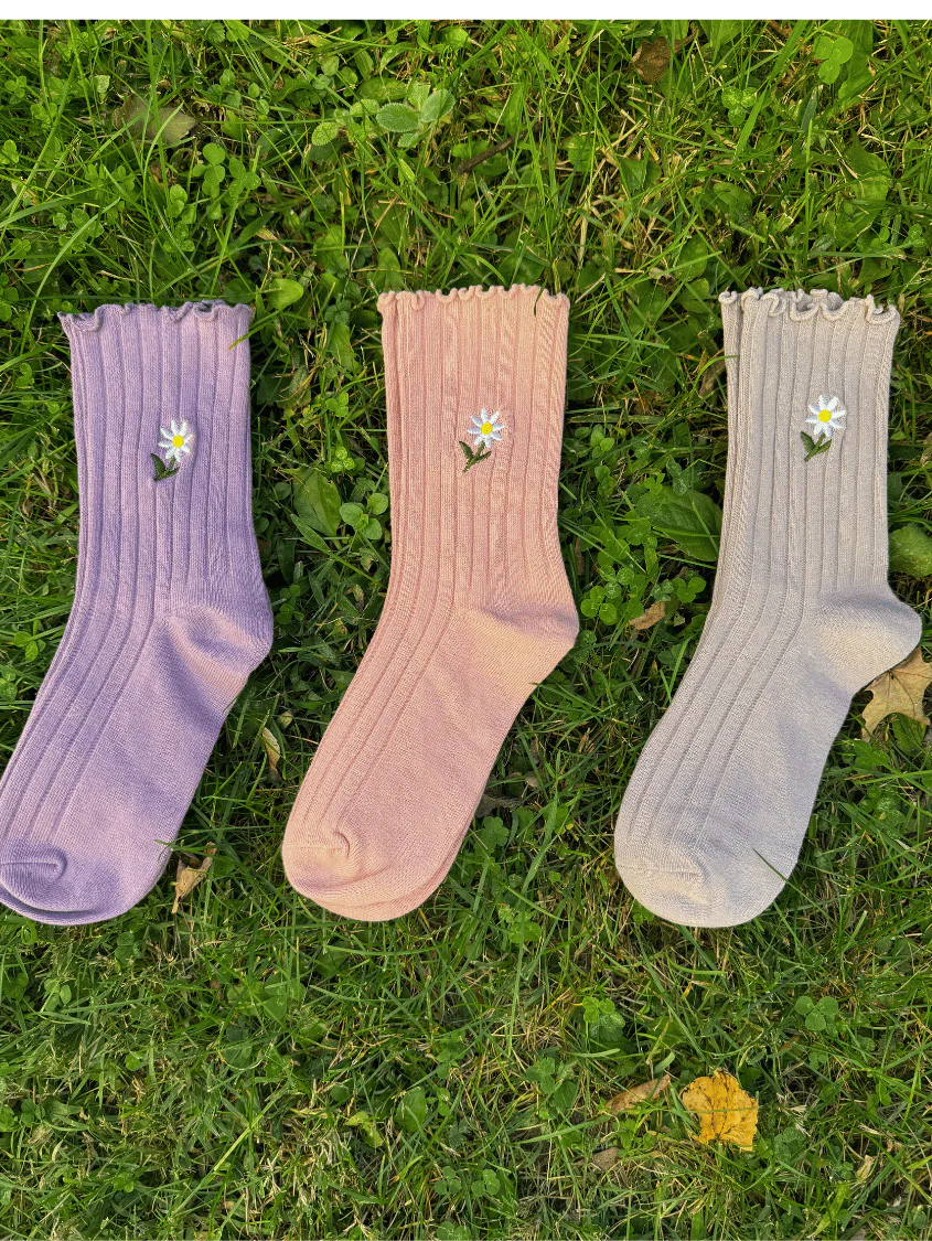 Daisy Magic Sock Bundle - Image 7