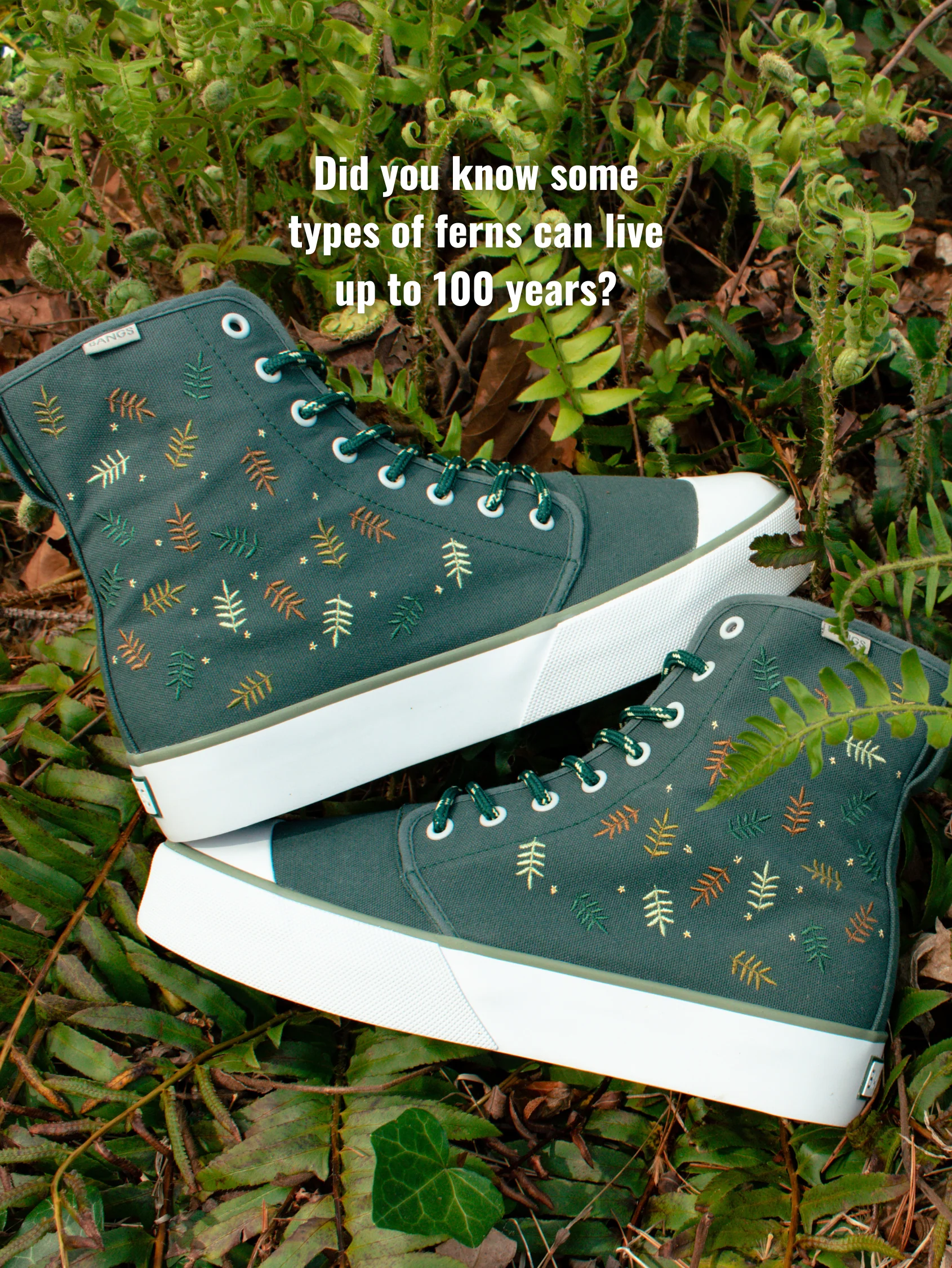 Forest Fern Platform High Top - Image 13