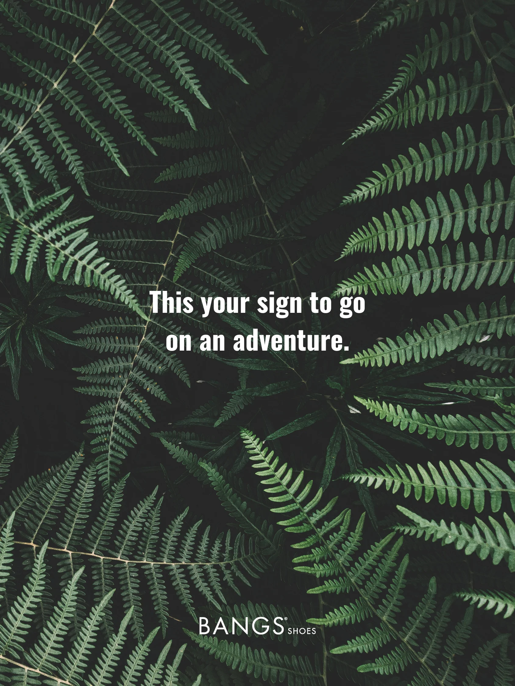 Forest Fern Platform High Top - Image 20