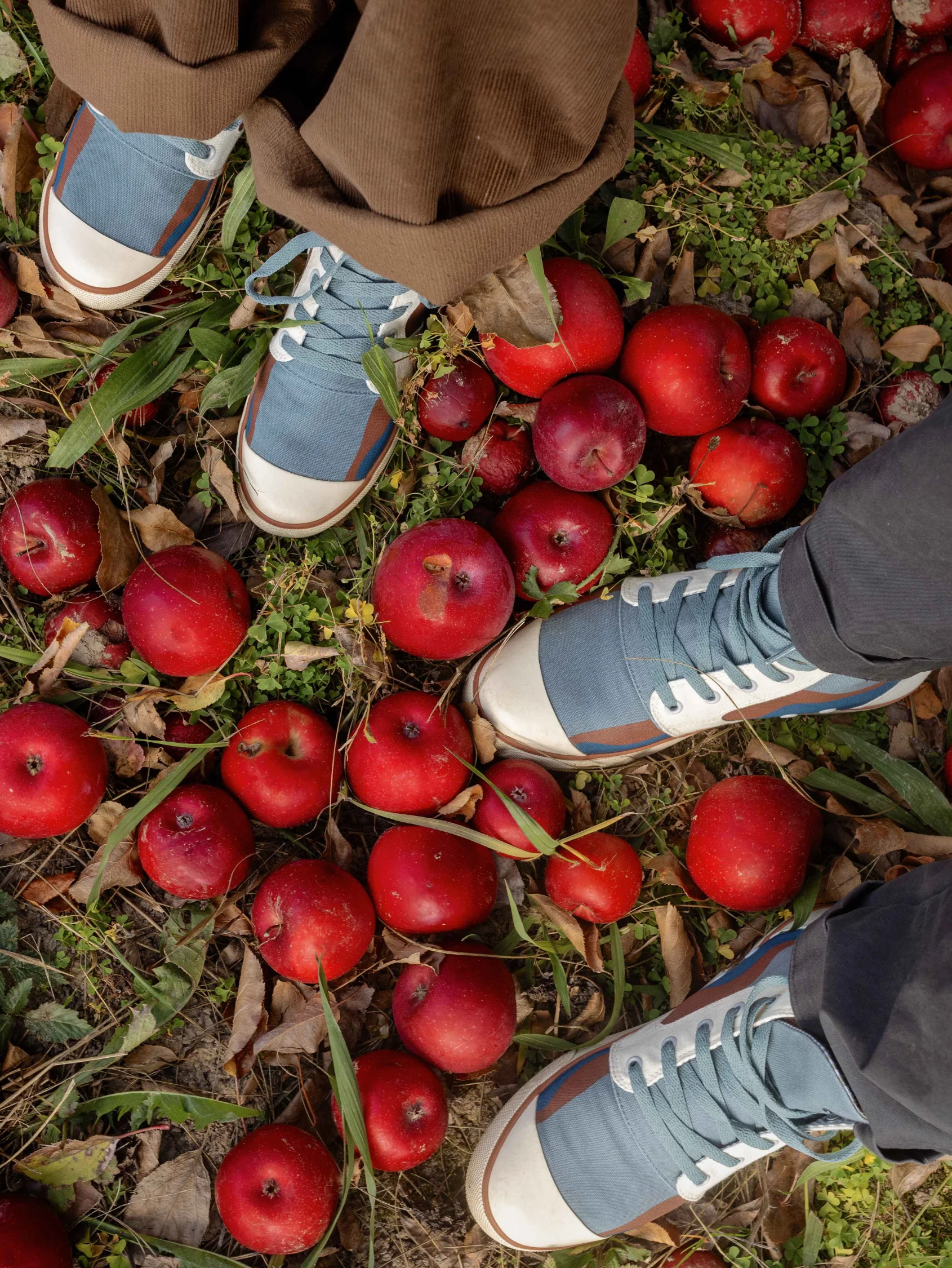 Midnight Dunes High Top - Image 9