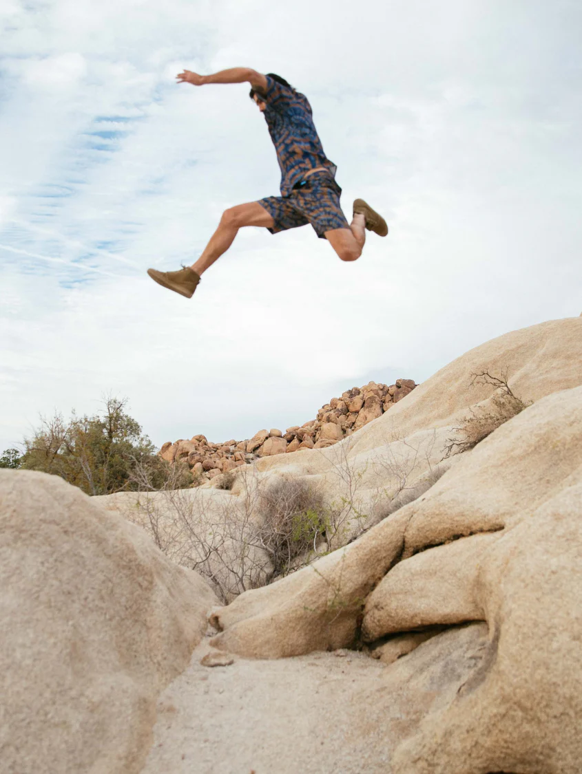 Old Pine High Top - Image 5