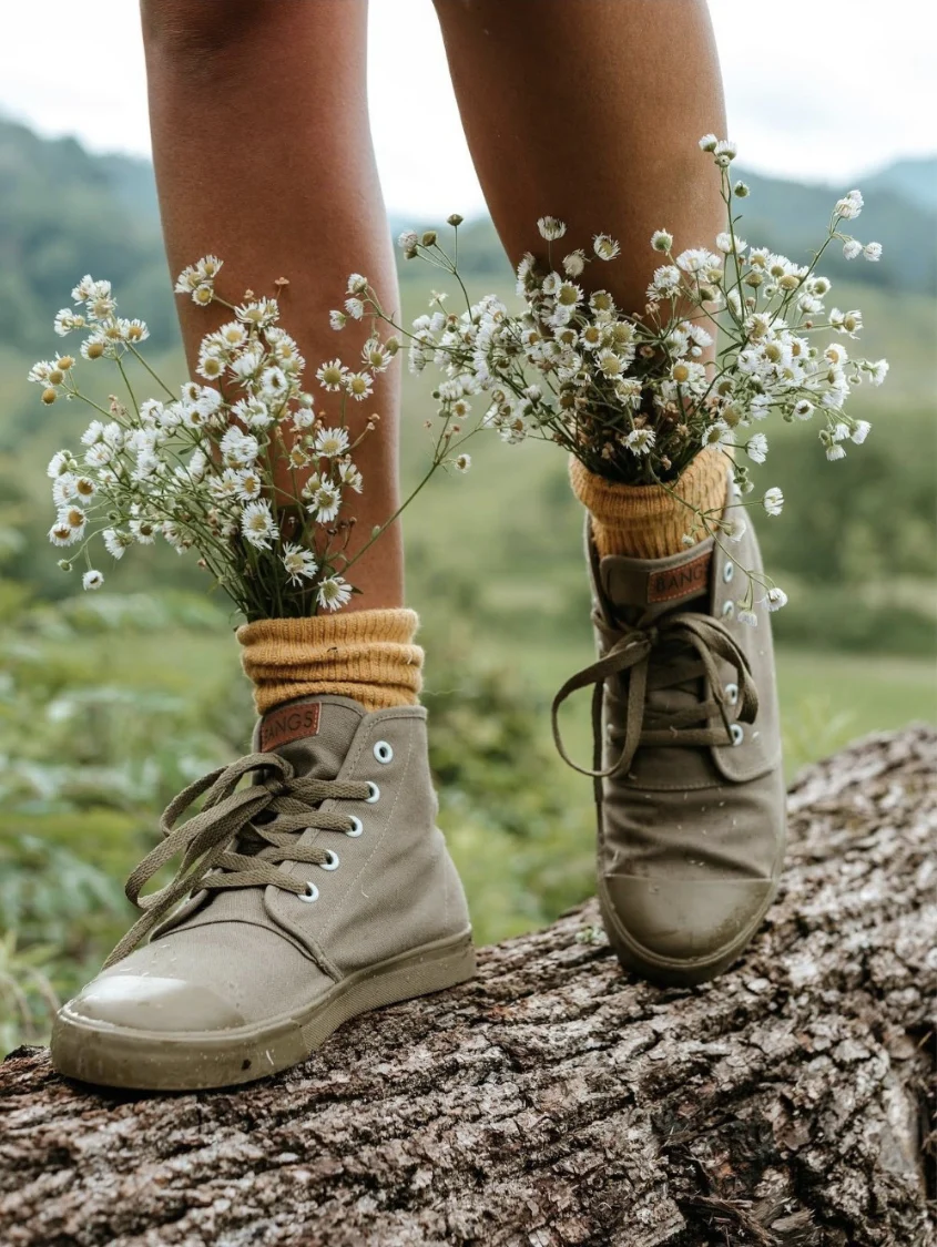 Old Pine High Top - Image 7